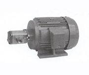 MFP100 series motor pumps